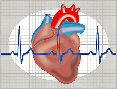 静脉使用胺碘酮治疗快速性心律失常病人的临床观察及护理