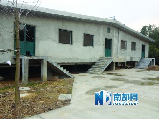 养猪场已初步成型，三个长方形的猪舍均是架空设计。