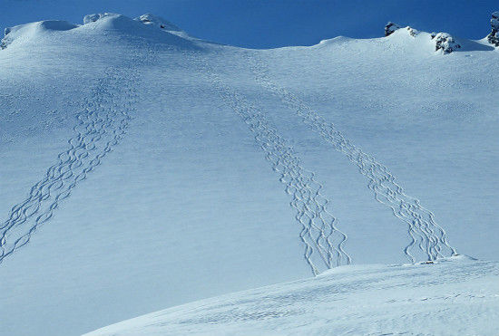 奔放冬日的雪地激情 全民热恋滑雪利器庞巴迪