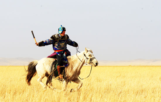 阳春三月万马奔腾 乍暖还寒春回草原|内蒙古|草