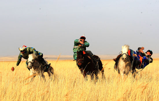 阳春三月万马奔腾 乍暖还寒春回草原|内蒙古|草