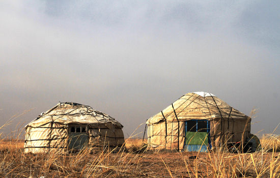 阳春三月万马奔腾 乍暖还寒春回草原|内蒙古|草