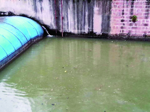 永川红旗河水污染严重 多年未根治水质不清等