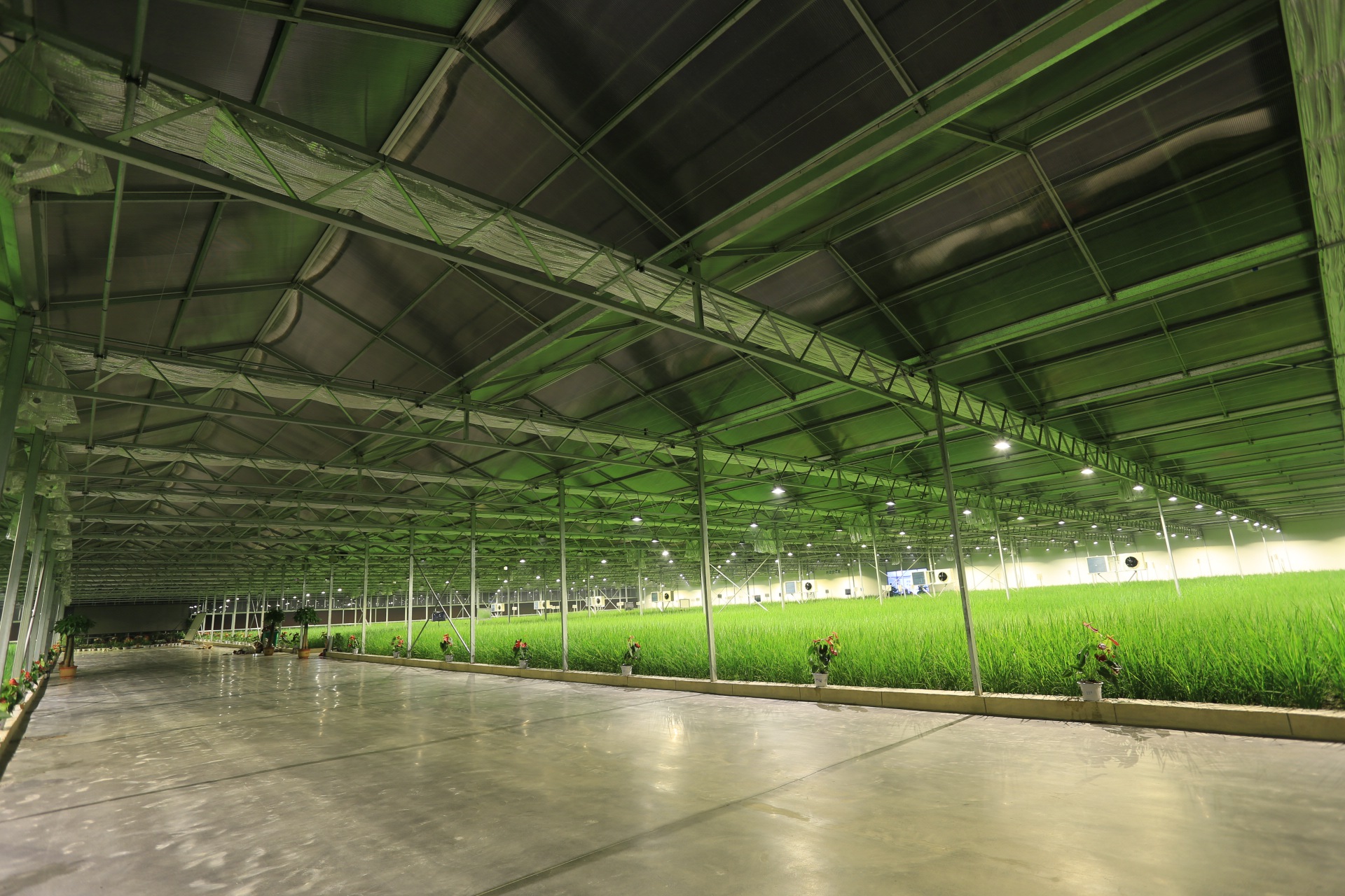 袁策生物发布食品溯源体系 大米也有身份证