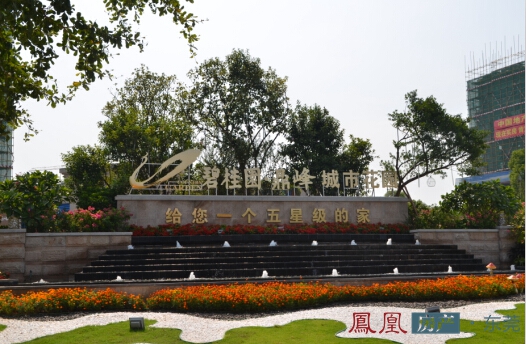 碧桂园抢房大战再上演 金九银十暖流初现_凤