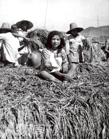 <<点击浏览上一张 信阳农民为1959年饥荒中死去的村民建碑