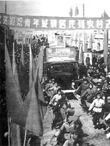 云南建设兵团某连长因强奸四知青一母牛被公审