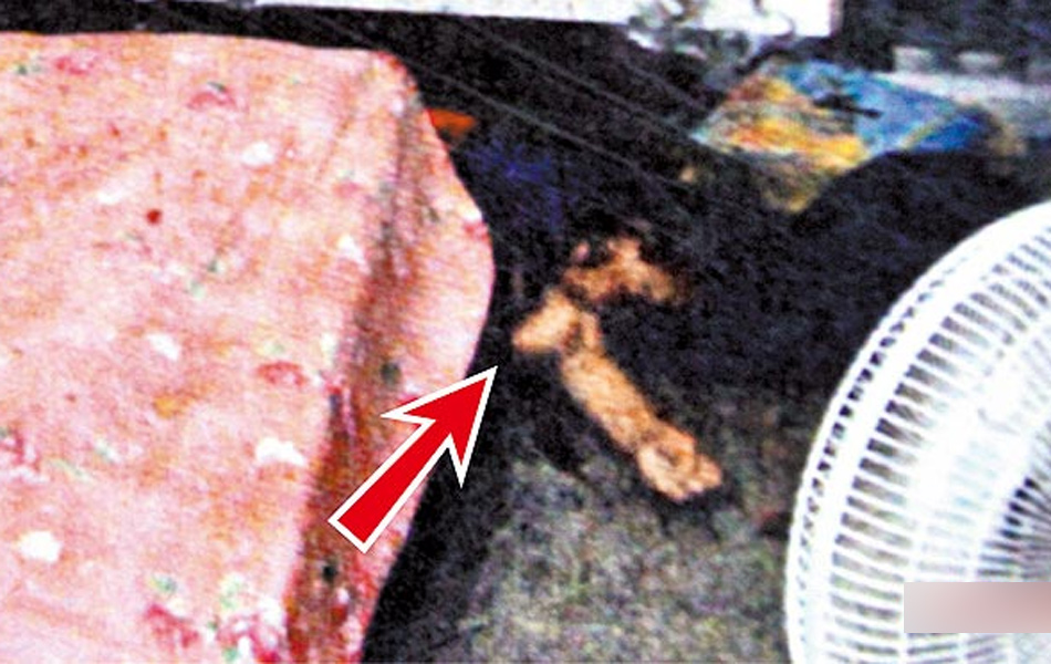 凌晨吵架后 男子拿柴刀砍死女友