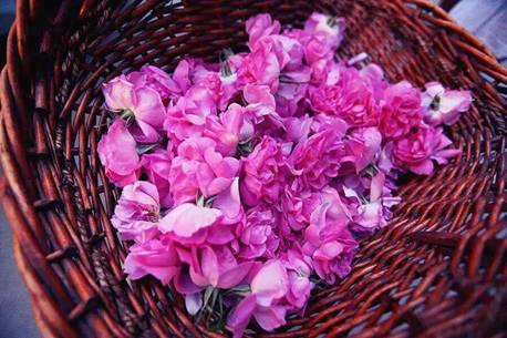 ose皇后精油面膜--100%保加利亚玫瑰纯露精油