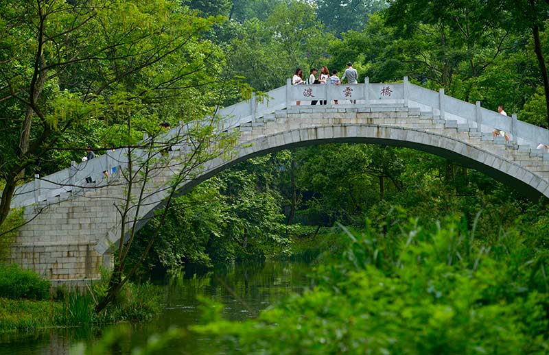 莫斯科人均绿地面积_人均公共绿地(3)