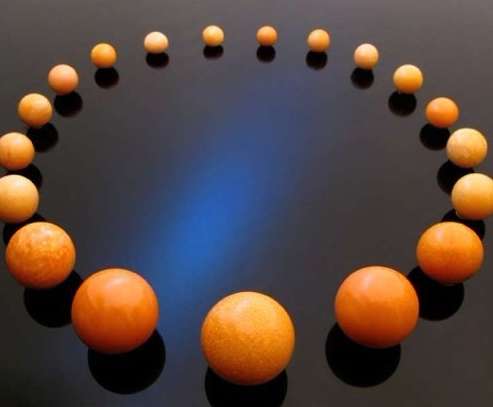 <em>椰子螺吐出美乐珠</em> 价值10万元老板娘当场乐晕