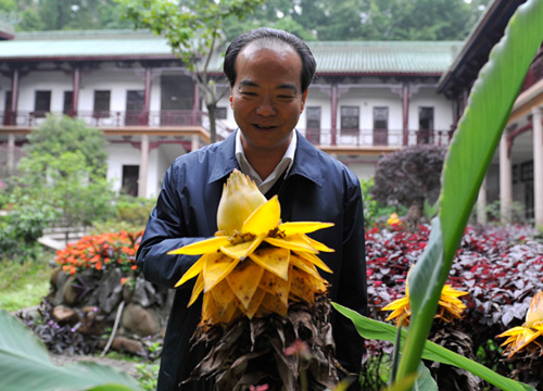 广东省副省长林少春一行考察了南华禅寺