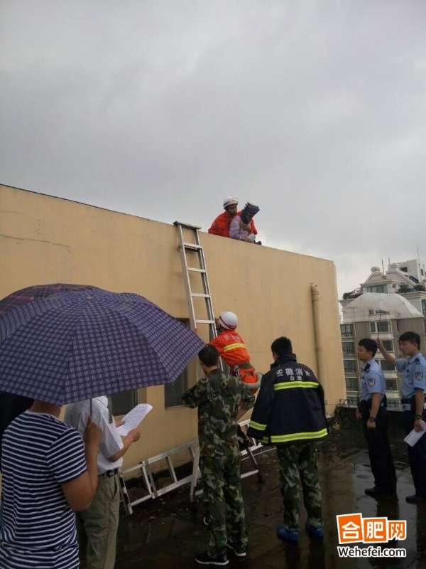 男子站在供电公司楼顶要跳楼 供电方回应其偷