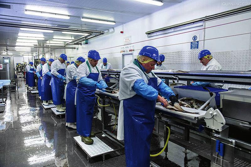 点击图片查看详情 海鲜加工坊_海鲜图片大全_海鲜加工