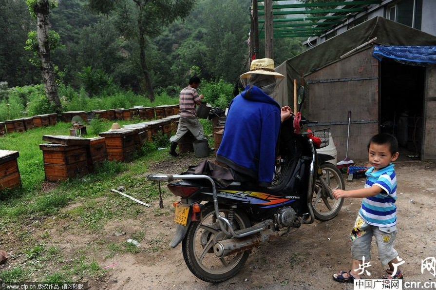 漂泊者的一年到头:房价飞涨 何处是我家