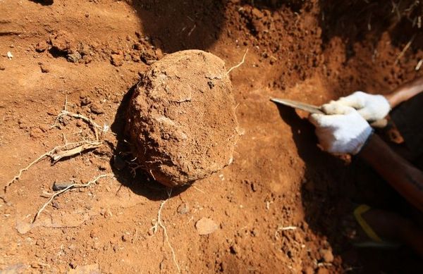 一个感激的国家永远铭记136 / 作者:王天无忌 / 帖子ID:92306