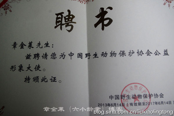 短剧助学金，照亮学子前行的温暖之光，短剧助学金，照亮学子前行的温暖之光