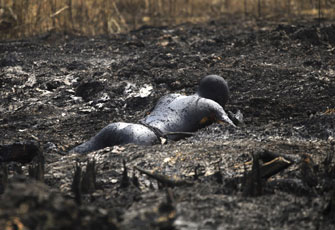 尼日利亚非法炼油厂