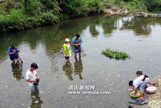 湖南卫视来黄山祁门探秘“会飞的蛇”_安徽频道_凤凰网