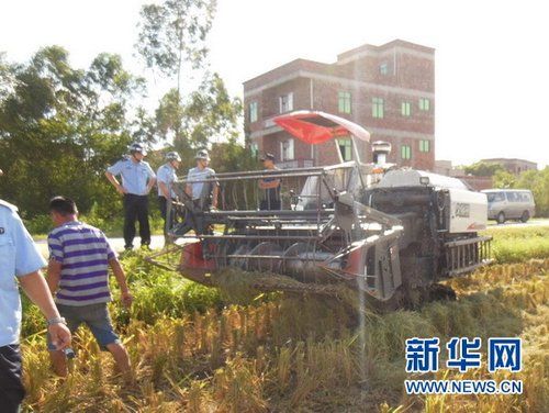 高州人口_通告!高州以下地区禁止迁入人口和新增建设项目,否则后果……