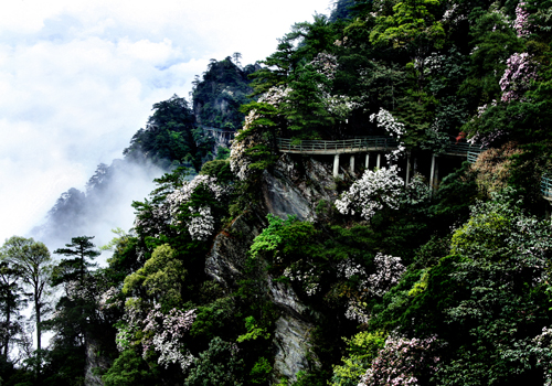 宁城县 标签: 旅游景点 风景区  杜鹃山景区共多少人浏览:2653562