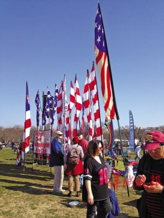 华盛顿,正在举办的风筝节一景
