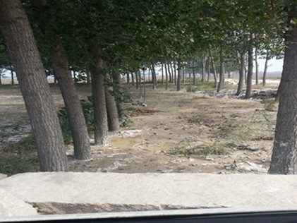 李白的简谱李荣浩(2)
