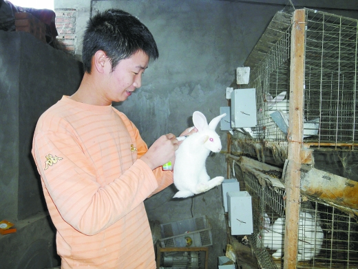 贵州养兔人定居板桥还教授村民养兔致富