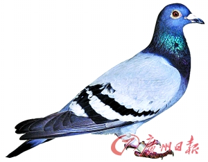 c80e3a60-2de1-48c0-a9ae-af1c95641cd8.jpg