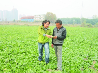 开创武汉现代都市农业的东西湖升级版