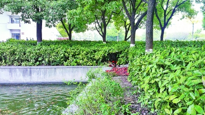 上海大学人工湖现女尸 死者为该校一名研究生