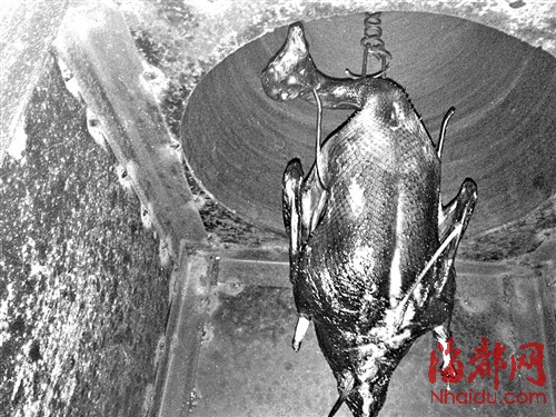 铁架做膛,花盆当盖 工人自制烤鸭炉