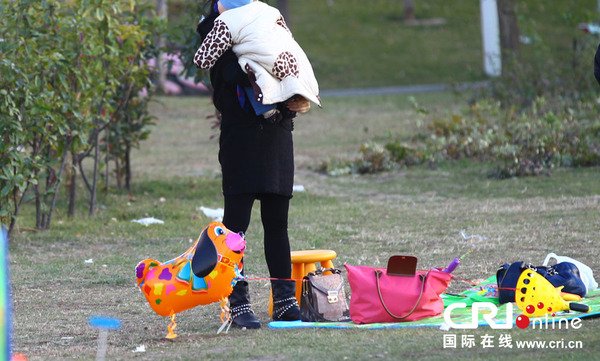 捕狗网麻醉针齐上阵(高清组图)