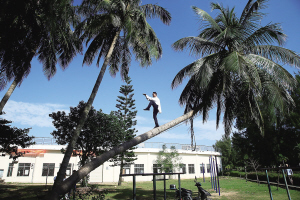 椰树上练家子|武术|武术队_凤凰资讯