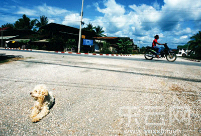 昆明至泰国自驾游告别湄公河摆渡时代!|游客|老