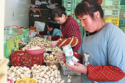 海市蜃楼形成的原因_农民收入形成的来源(2)