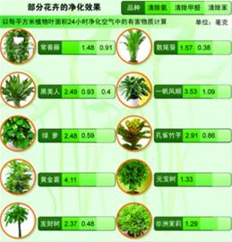 不清理叶片将影响植物滞尘功能|空气|阴离子