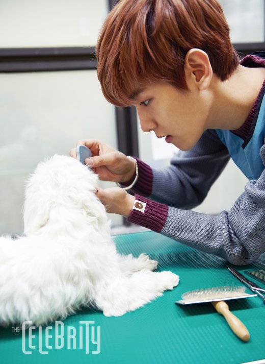 Exo伯贤与伴侣动物拍公益写真温暖人心 音乐频道 凤凰网