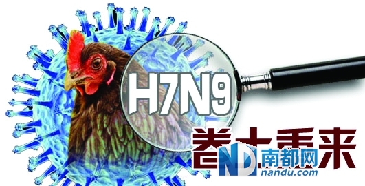 深圳确诊首例人感染H7N9禽流感|医护|确诊