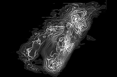 年度图片 透明大脑|通古斯|科学家