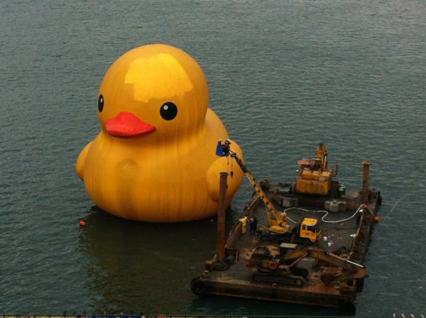 黄小鸭洗香香 基隆港变澡缸|台海网|台湾