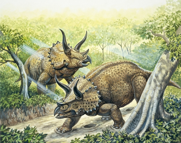 生活在晚白垩世的三角龙与大多数恐龙一样,长着没有羽毛的鳞状皮肤.