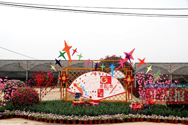 看土豪赏奇石农家乐 南宁元旦游玩去处大搜罗