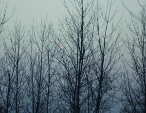 2014第一天 UFO光临南京?|地球|木星