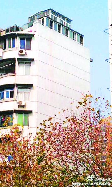 简易鸽舍设计图纸 简易鸽舍设计图纸