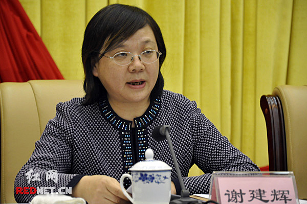 湖南省发展和改革工作会议长沙召开 陈肇雄出