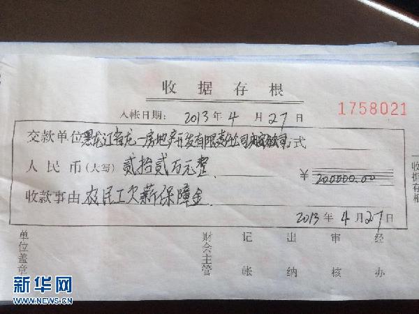 社会调查问题_1.农民收入问题调查(2)