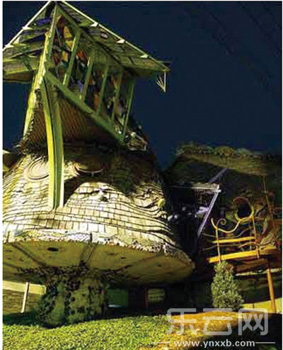 云南信息报|网友|蘑菇