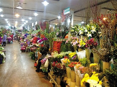 北京:政府国企订单少 高档花卉卖不动|种植户|大