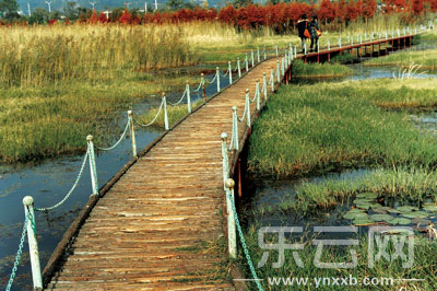 我国人均水资源_人均拥有水资源(3)